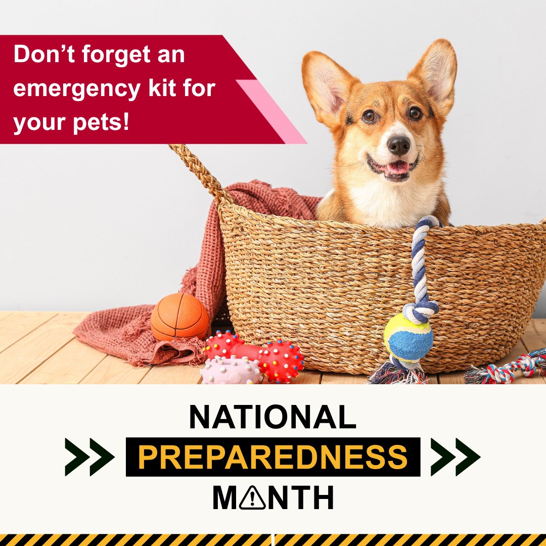 VDHgov's tweet image. Don't forget about your best friend! 🐕🐈 Your pet #EmergencyKit should include: 

✅pet food and water 
✅a favorite toy, treats or bedding 
✅cat litter, or plastic bags 
✅vet’s name and vaccination records 

 #PetPreparedness #PetSafety #PreparednessMonth #PetOwners