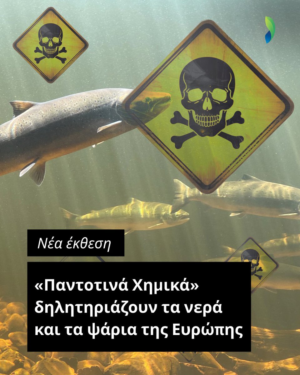 🔴 Νέα έκθεση: Τα ψάρια στην ΕΕ είναι γεμάτα PFAS.
🧪 Σε κάποιες περιπτώσεις ξεπερνούν τα όρια ασφαλείας 10.000 φορές.
⏳ Τα κράτη μέλη θέλουν να αναβάλουν δράση μέχρι το 2051.

👉 Χρειαζόμαστε ισχυρότερα ευρωπαϊκά πρότυπα νερού – τώρα.
#PFAS #ΧημικέςΟυσίεςΓιαΠάντα #ΔημόσιαΥγεία