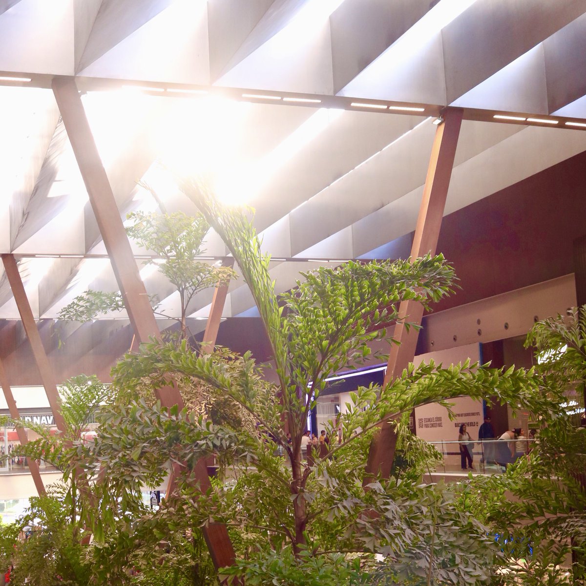 El sol se despide regalándonos un espectáculo de luz entre la naturaleza y la arquitectura.

 Así se vive la magia en #Andamar✨