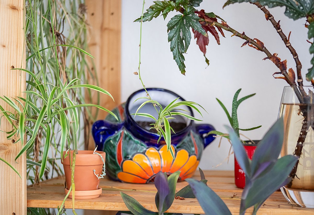 myheartcreative's tweet image. “Be not afraid of growing slowly; be afraid only of standing still.” - Chinese Proverb 🌱
Happy Friday from our team ✨
#myheartcreative #Growth #DesignStudio
