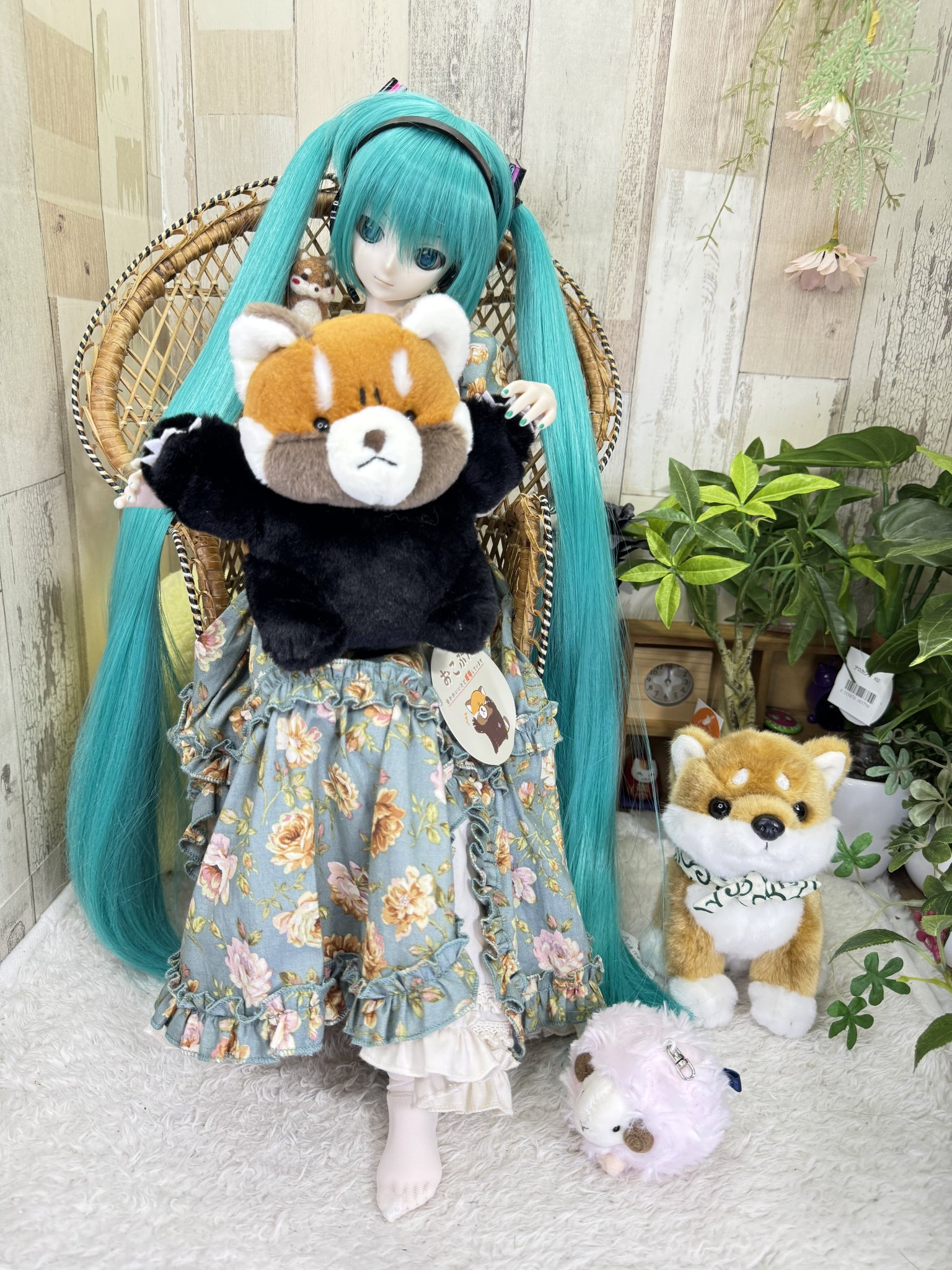 くまきち くまきち on X: 
