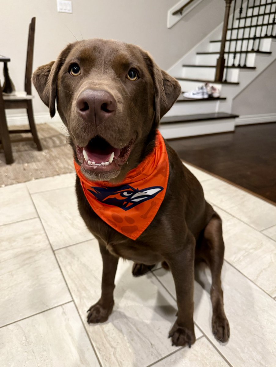 UT San Antonio Alumni tweet media