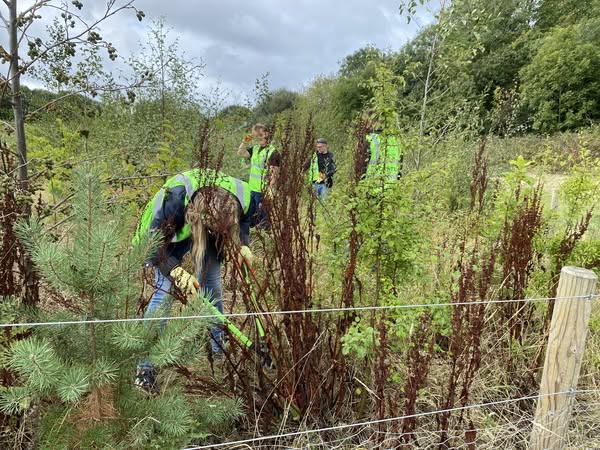 A big thank you to the team from <a href="/WoodMackenzie/">Wood Mackenzie</a> who looked after the Wee Forest at Hailes Quarry Park. Keeping the Dock and Creeping Thistle at bay in the establishing stages of the Wee Forest is really important and the group worked hard to give the trees a helping hand.