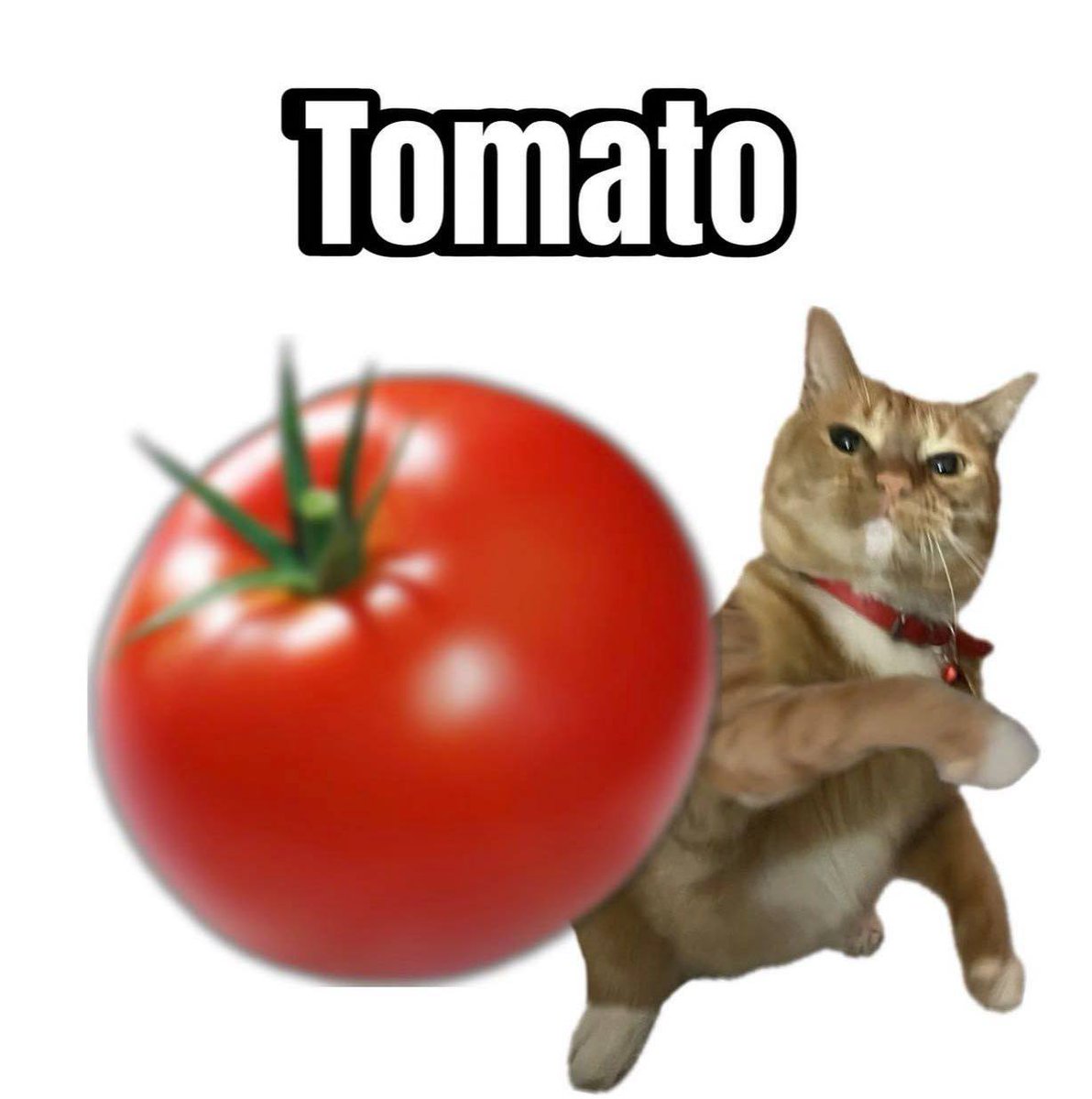 YepSSB's tweet image. 