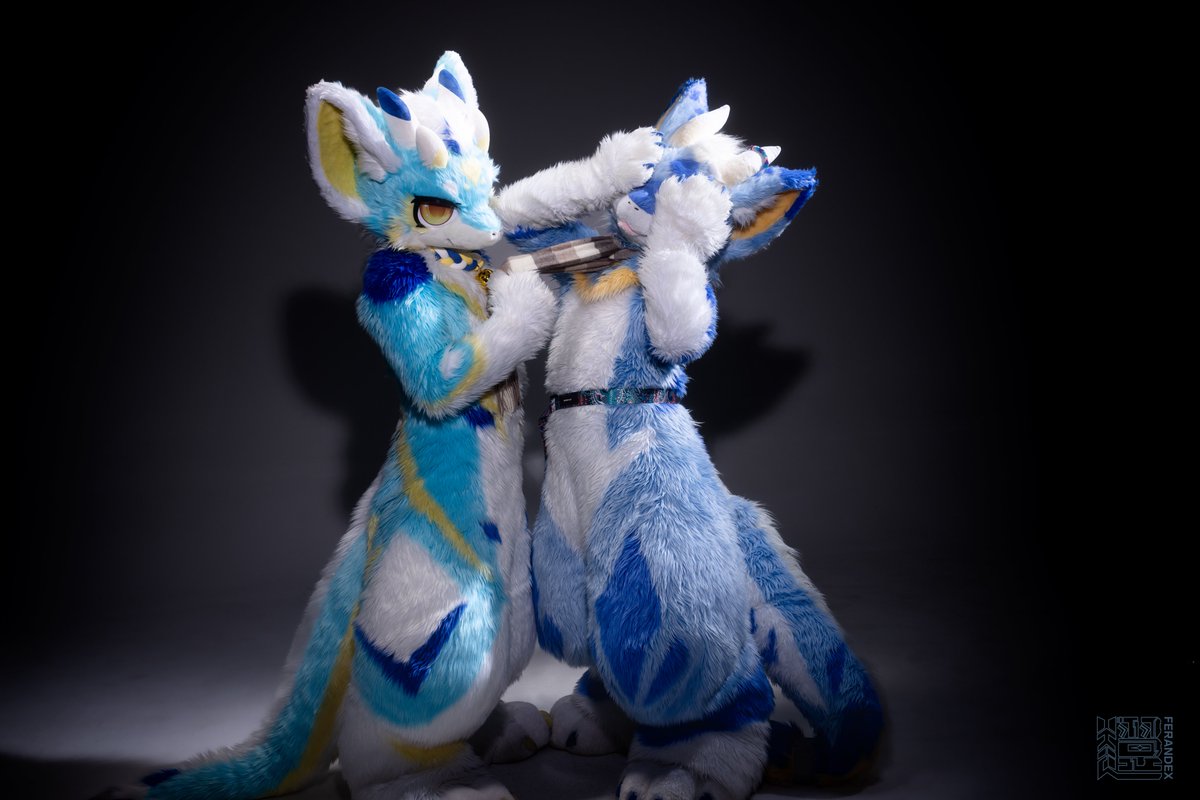 像我这么猛的龙是绝对不会被牵的，但如果是老婆大人<a href="/HaoHai0528/">神奇浩海</a>的话ww，就勉为其难的破例一次吧

📷：<a href="/lyfx2020/">FerandEX·翼轩</a>