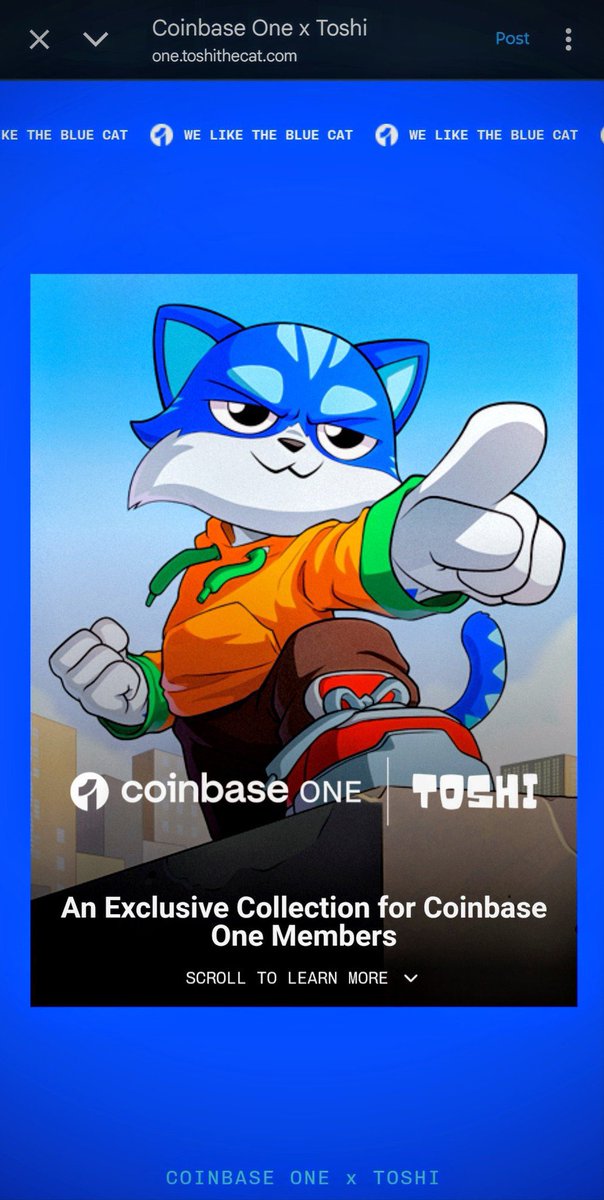 base4toshi's tweet photo. Happy Friday $Toshi fam .. Hustle harder on Fridays 🚀🚀 @Toshi_base https://t.co/xBw0OnwiBV