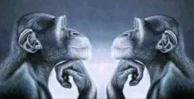 BuckysRoomate's tweet image. Dr1 being forgotten in the sands of time and Miyazaki having a flesh eating parasite devour half his brain while writing Sote #mutualassureddestruction