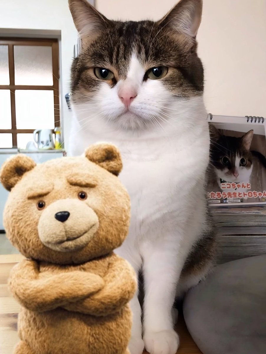 RubyRoseSSB's tweet image. Nintendo direct zzz
Solo mario peli