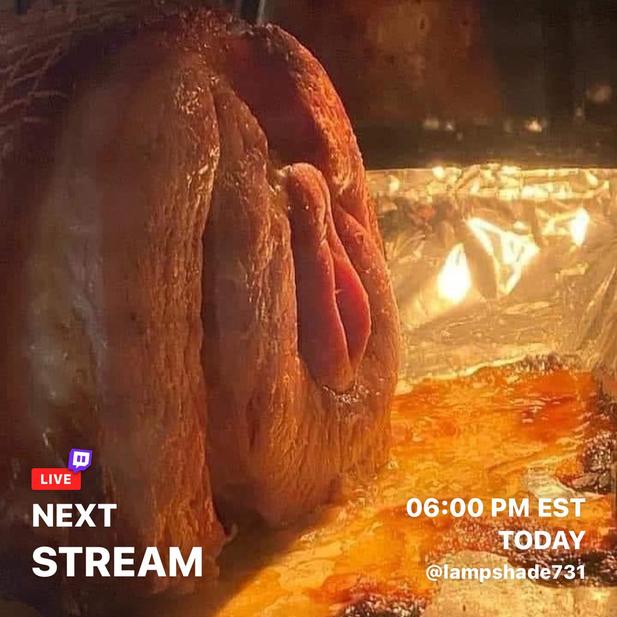 Lampshade731's tweet image. Yall come enjoy some ham while we play apex &amp;amp; warzone tonight! Chat,chill,lurk? 🤜🤛 @JChristian3rd @ItsOroche @Kroger_brand_ @LilErick21 @MostFatalTurtle @Streddy_gaming @mcnealpaul293 @1KevWilks @UhhlergicFPS @Coruptify_ @Shadowf1ux @roboturnergames @Tepkowski @roboturnergames