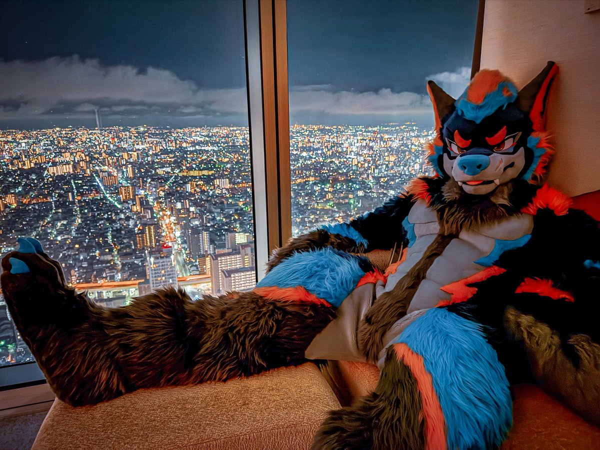 Good Night Osaka  #FursuitFriday

🐺 <a href="/DuskonZeon/">Duskon ダスコン 🔜 Infurnity ケモコン</a>