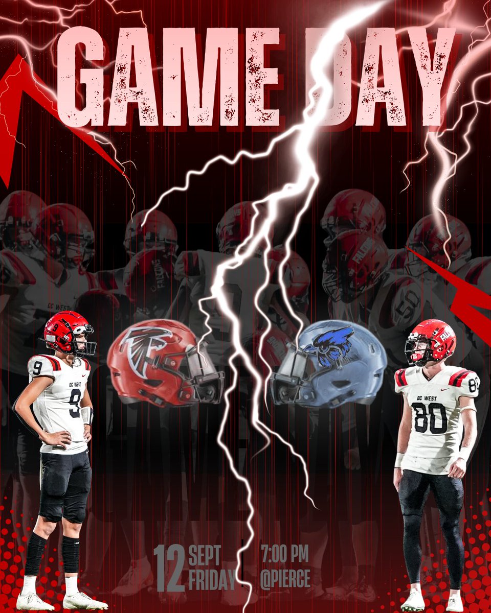 Battle of the Birds!!!!