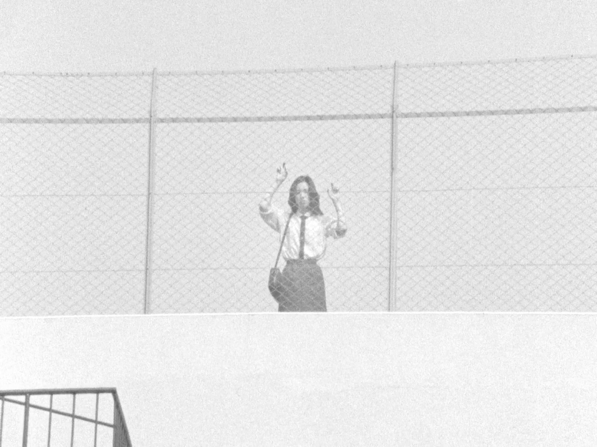 yrralFisherman's tweet photo. Afternoon Breezes | 風たちの午後 (1980, Hitoshi Yazaki) https://t.co/nF9bmWrw95