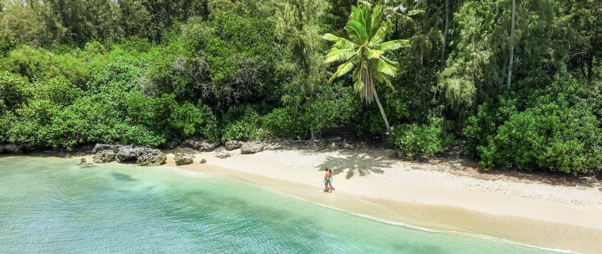 Experience top-notch CME courses on beautiful Hawaiian islands! cmescience.com #radcme #cme #radiologist #grandhyattkauai #andazmaui #ritzcarltonkapalua #radres #radtech #ritzcarltonoahuturtlebay
conta.cc/3JLrbhN