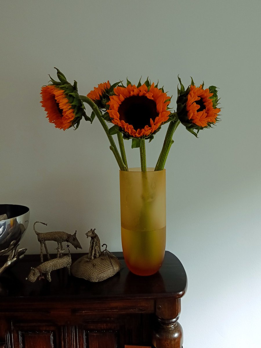 #sunflowers - the best thing in Tesco at only £4.