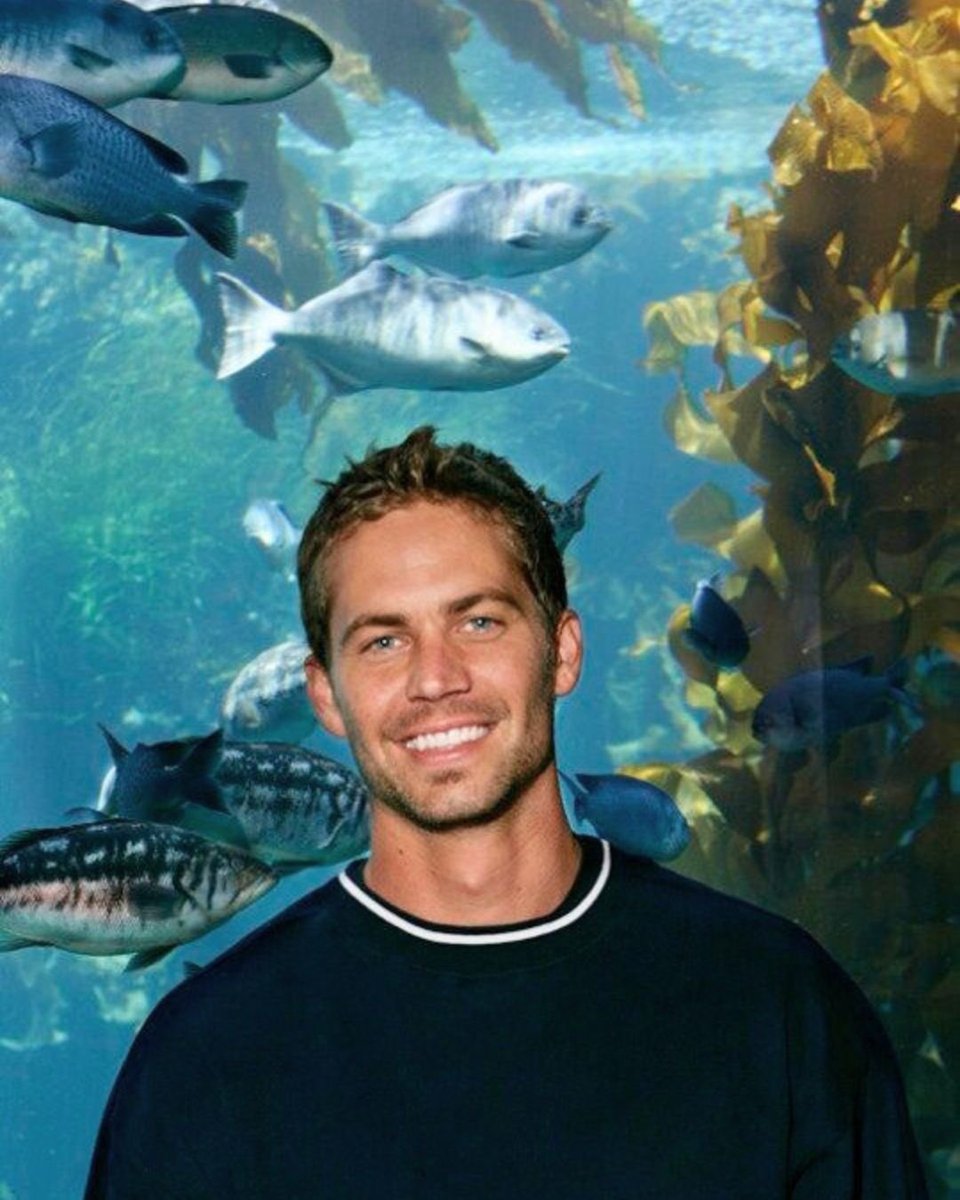 PaulWalkerFoundation tweet media