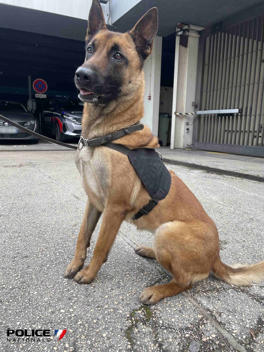 Week-end en vue 📚🎶☕️ !
Qu’il pleuve, qu’il vente ou que vous fassiez un barbecue, Okatanga 🐶veille...
Les policiers du Doubs vous souhaite un excellent week-end, en toute sécurité