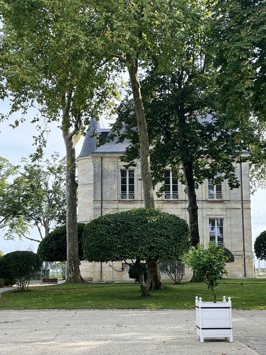 Pichon Comtesse 2025 - Day 8 - Today’s dedicated to Cab franc - Smooth grapeseeds , soft tanins and fresh aromatic pulp - A few drops in our future blend… #PichonComtesse #TheBestIsYetToCome