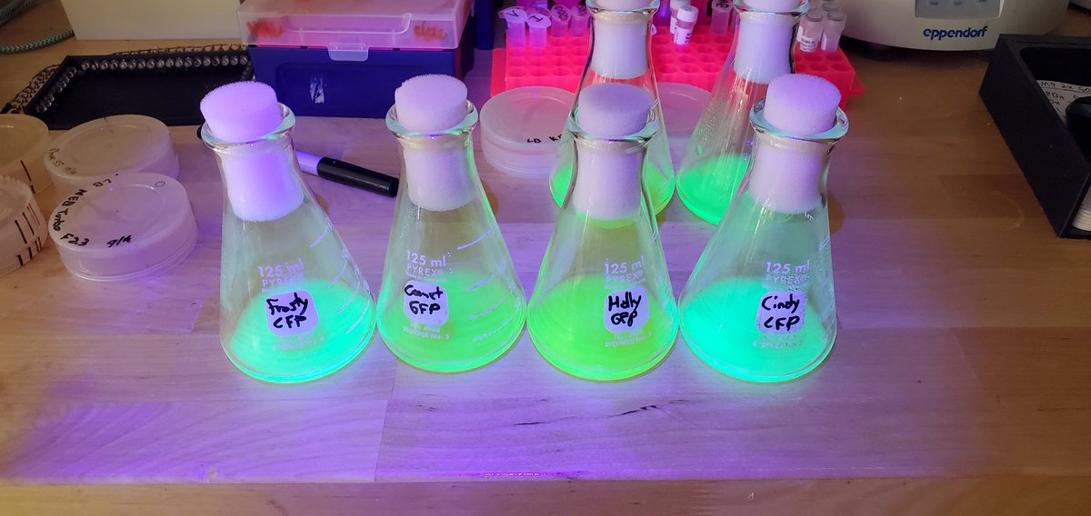 Sebastian S. Cocioba🪄🌷 tweet media