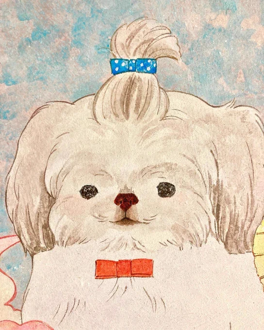 パヤパヤ犬。