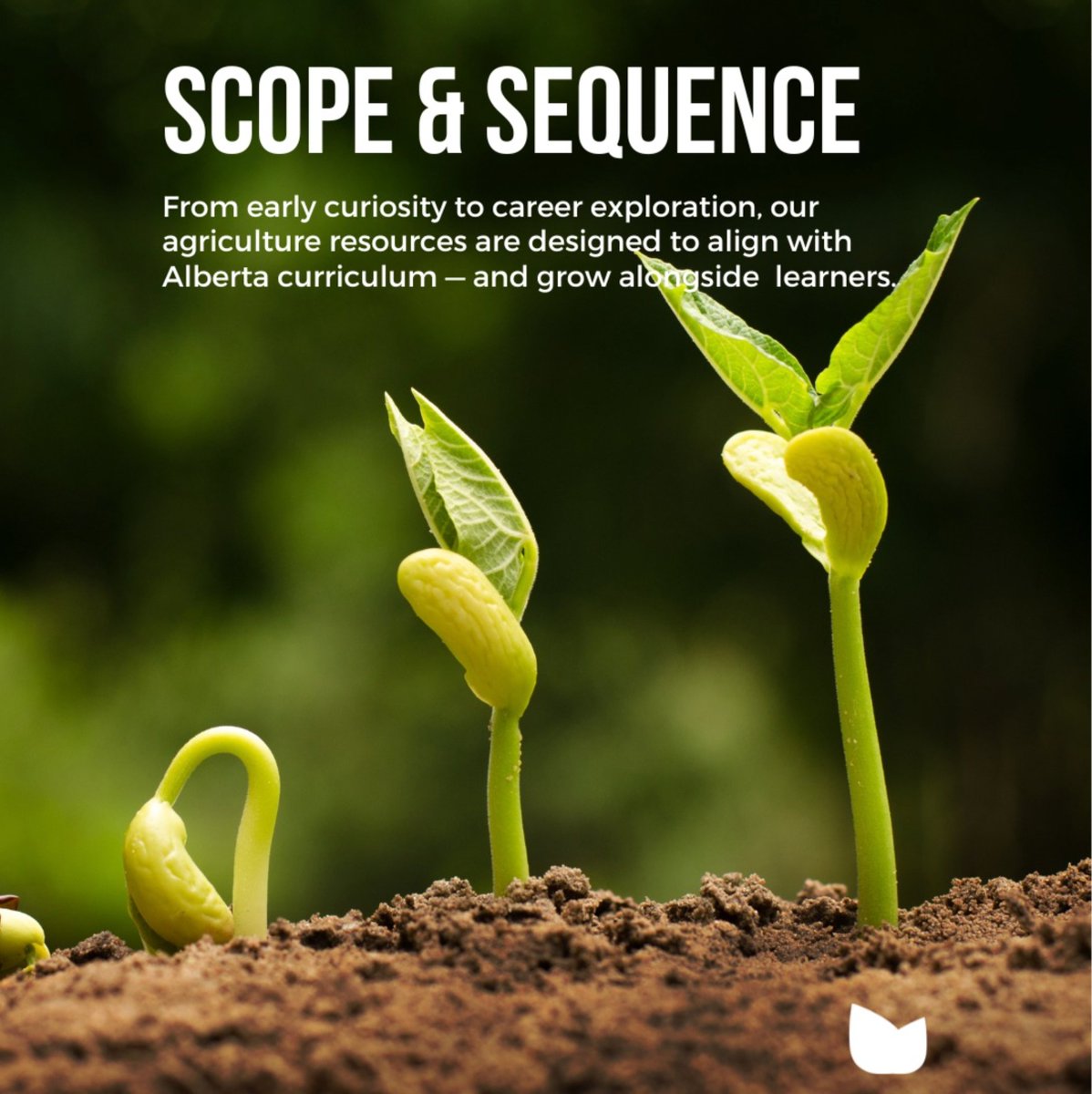 4AgForLife's tweet image. Curriculum That Grows With Your Students. 🌿
📚 Explore classroom-ready tools for every grade at agricultureforlife.ca

#AgEducation #CurriculumSupport #ScopeAndSequence #AgInTheClassroom #Education #EdChat #Teaching #TeacherResources #AgEd #AgforLife