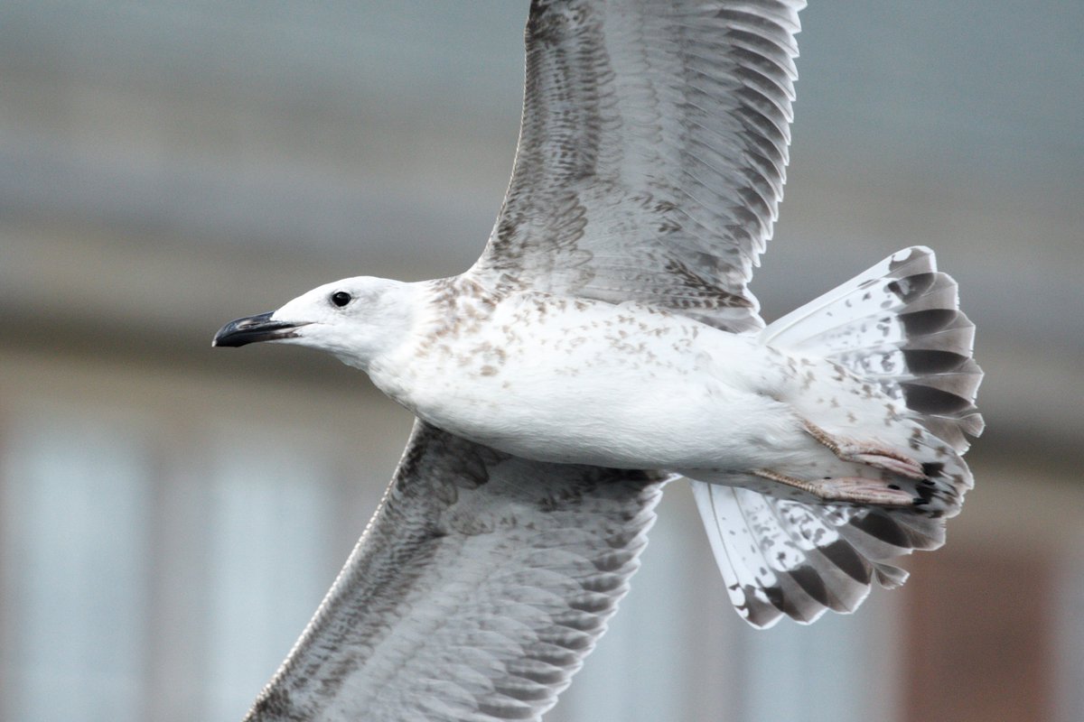 Sam Goddard tweet media