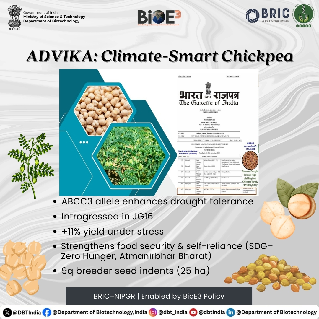 DBTIndia's tweet image. 🌱 Resilient Pulses, Secure Future 🌱

Presenting #SAATVIK: A Superior Climate-Smart Chickpea Variety developed by @NIPGRsocial through advanced molecular breeding.

BRIC-NIPGR scientists harnessed a natural allele for drought tolerance and introgressed it into the popular