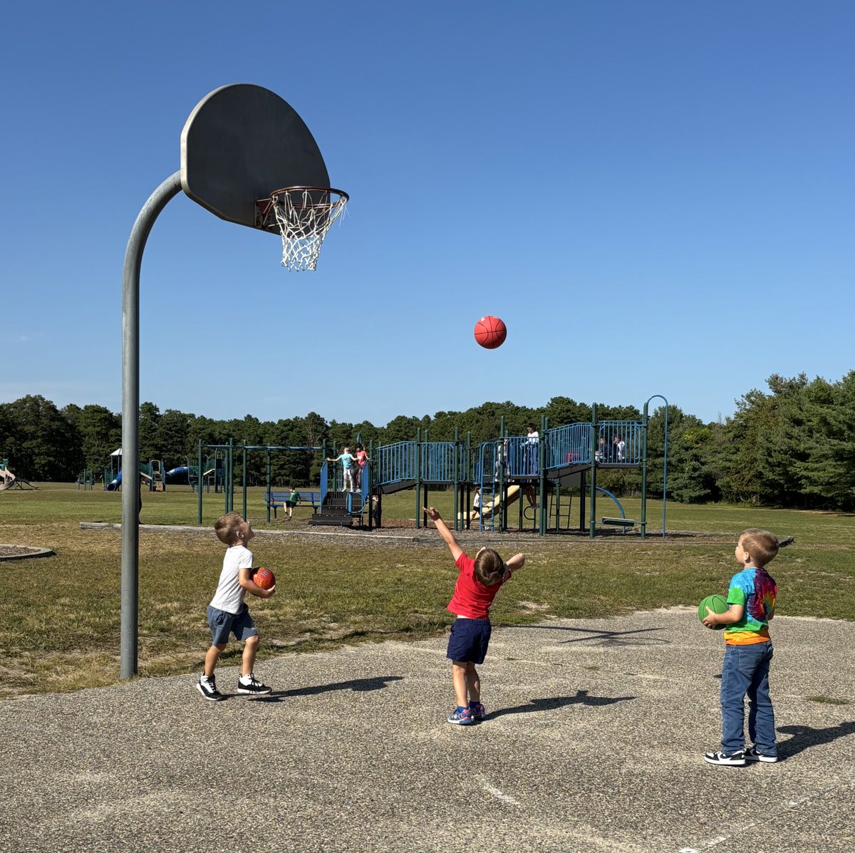 BEST Program tweet media