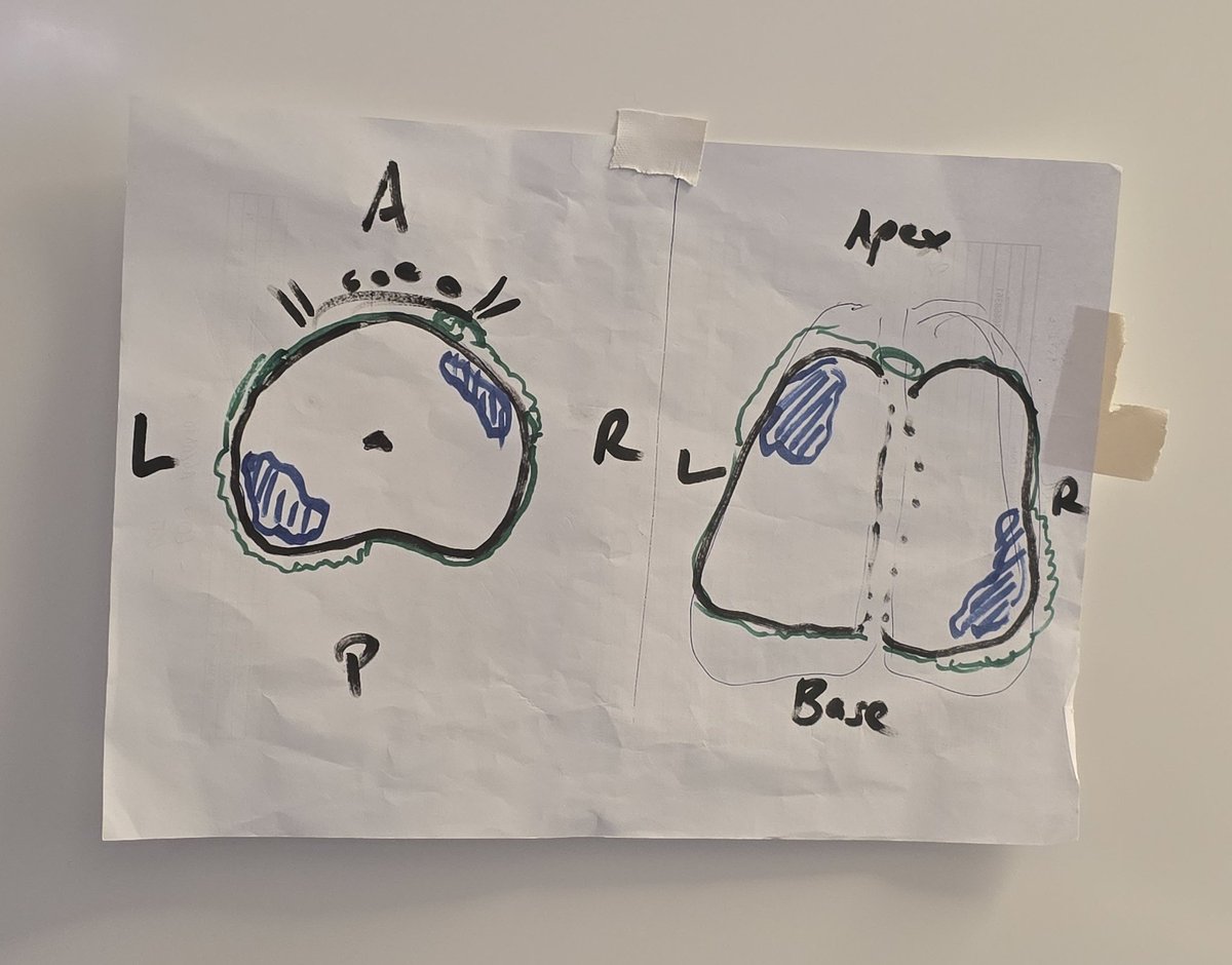 Alastair Lamb tweet media