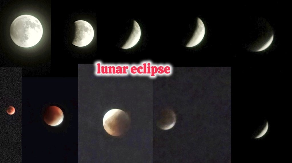 Ojasvi Chattopadhyay tweet media