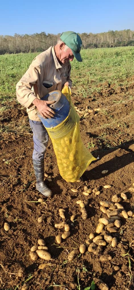 Los agropecuarios de la UBPC 14 de noviembre, reafirman su responsabilidad en la producción de alimentos. 
<a href="/Cuba_CTC/">Central de Trabajadores de Cuba</a>
#PorCubaJuntosCreamos
 #Cuba