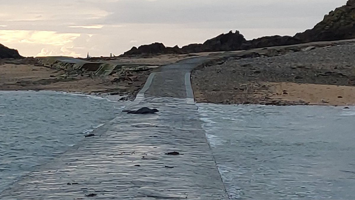 Meteolafleche.com tweet media