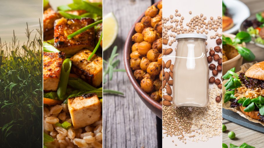 Plant-based foods aren’t a fad. They’re mainstream, innovative, and central to Canada’s food future.

In her new op-ed, <a href="/PlantBasedCAN/">Plant-Based Foods of Canada</a>'s <a href="/LeslieEwing_/">Leslie Ewing</a>  highlights why this sector is built on health, value, and resilience—and why Canada must put plant-based potential first. Read