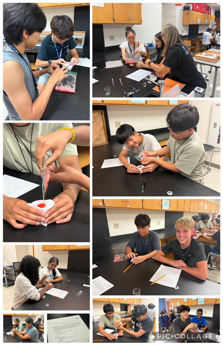 ✨🍓DNA Extraction Lab 🍓✨