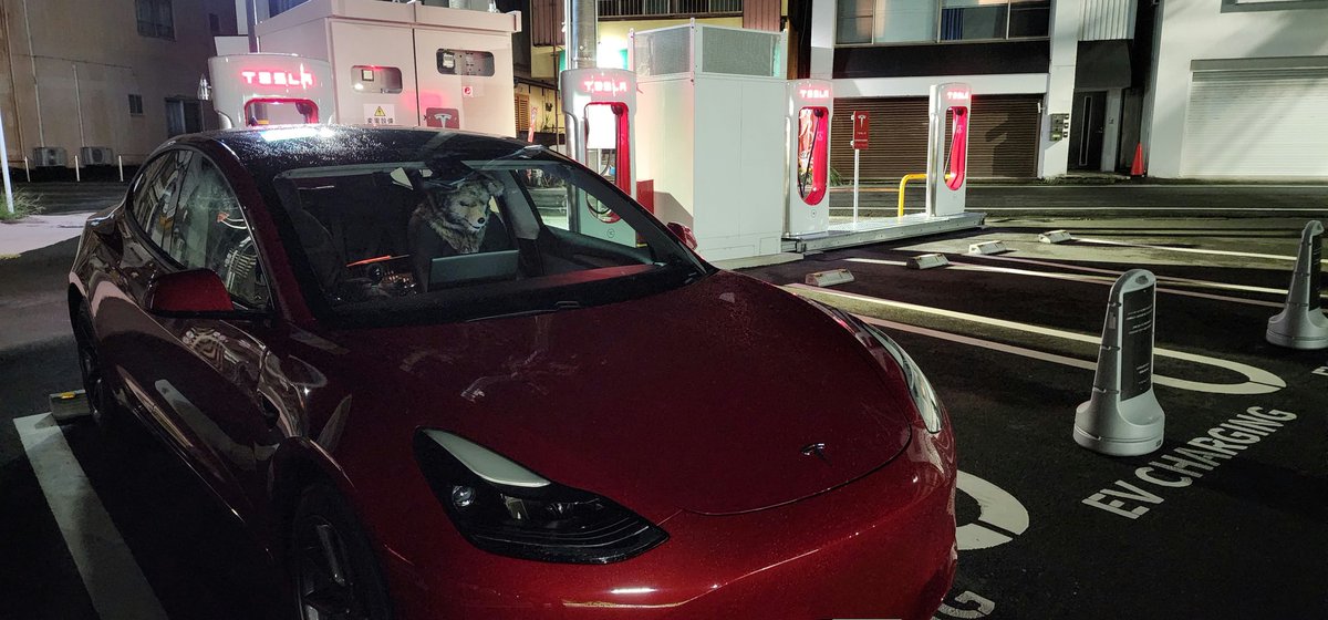 Sake_Meat_Tesla's tweet image. HELLO！熱海網代店SC🔋

深夜の雨のお陰で気温が下がって涼しくていいね(≧∇≦)b

#TSCC
#NightDrive