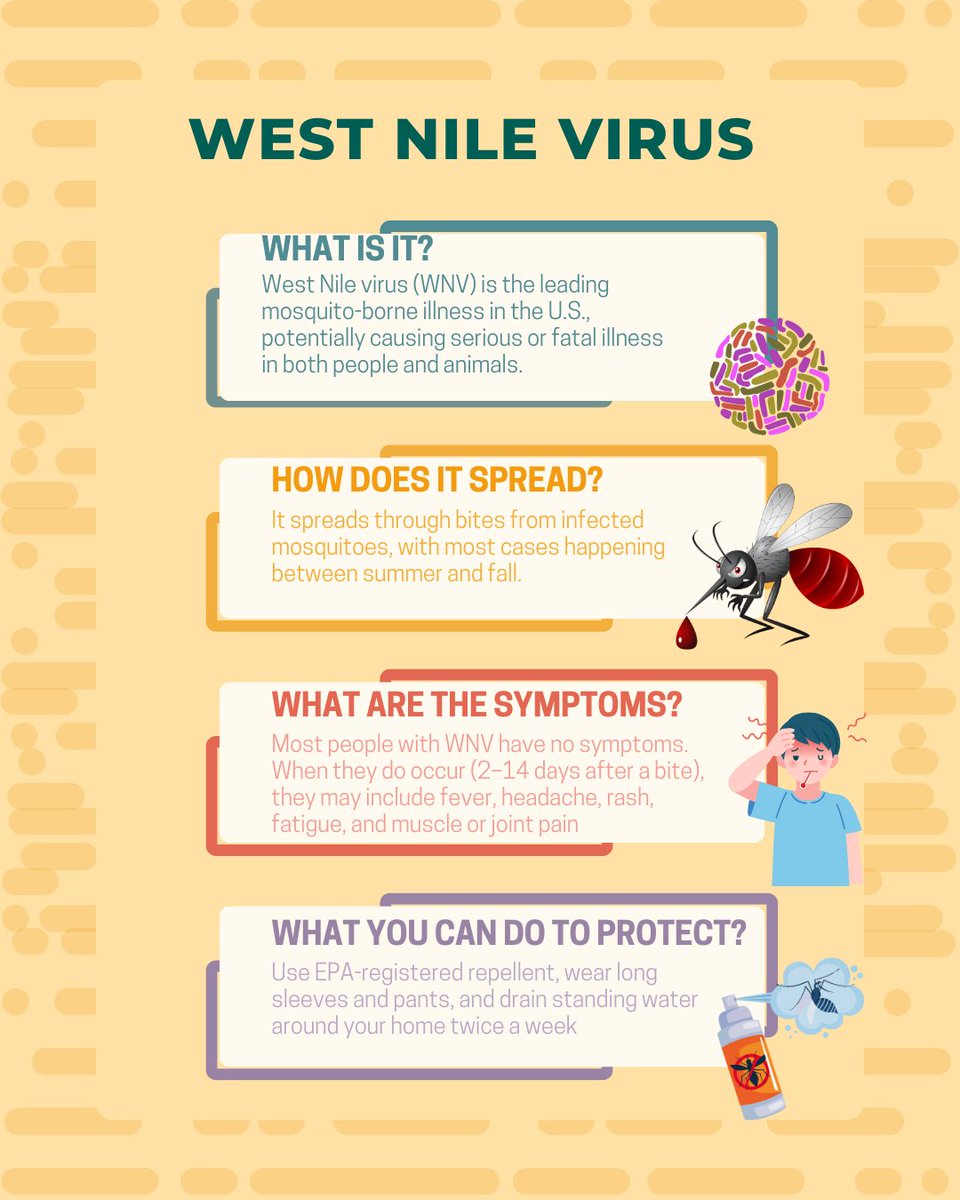 As rainfall increases, mosquitoes also come out in full force — and with them, the risk of West Nile virus. It usually starts with a simple mosquito bite. 
This summer, enjoy the outdoors — but do it safely. A simple bite can change everything. Stay aware, stay protected.