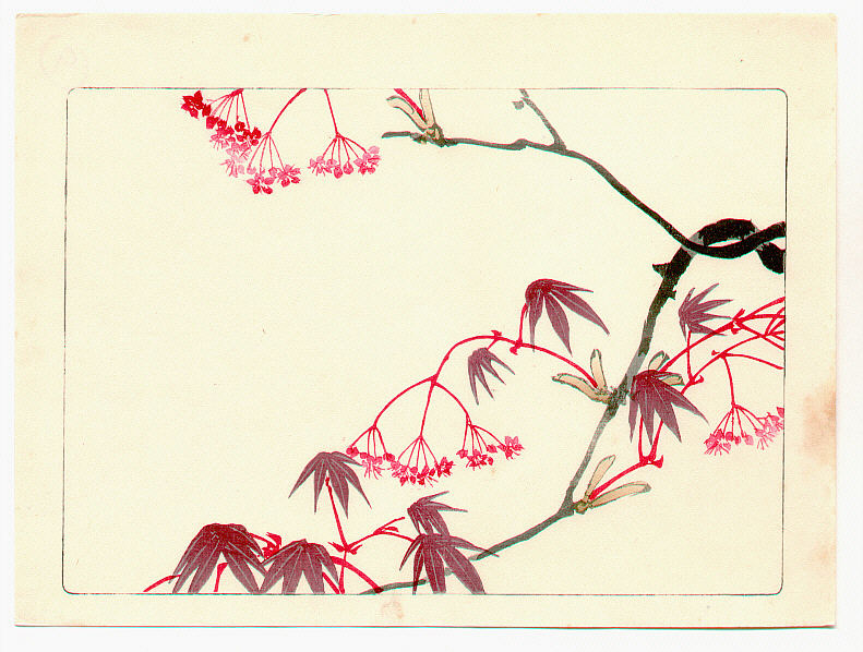 Red Maple, by Shibata Zeshin, 1878