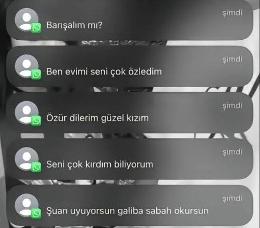 GİZ tweet media