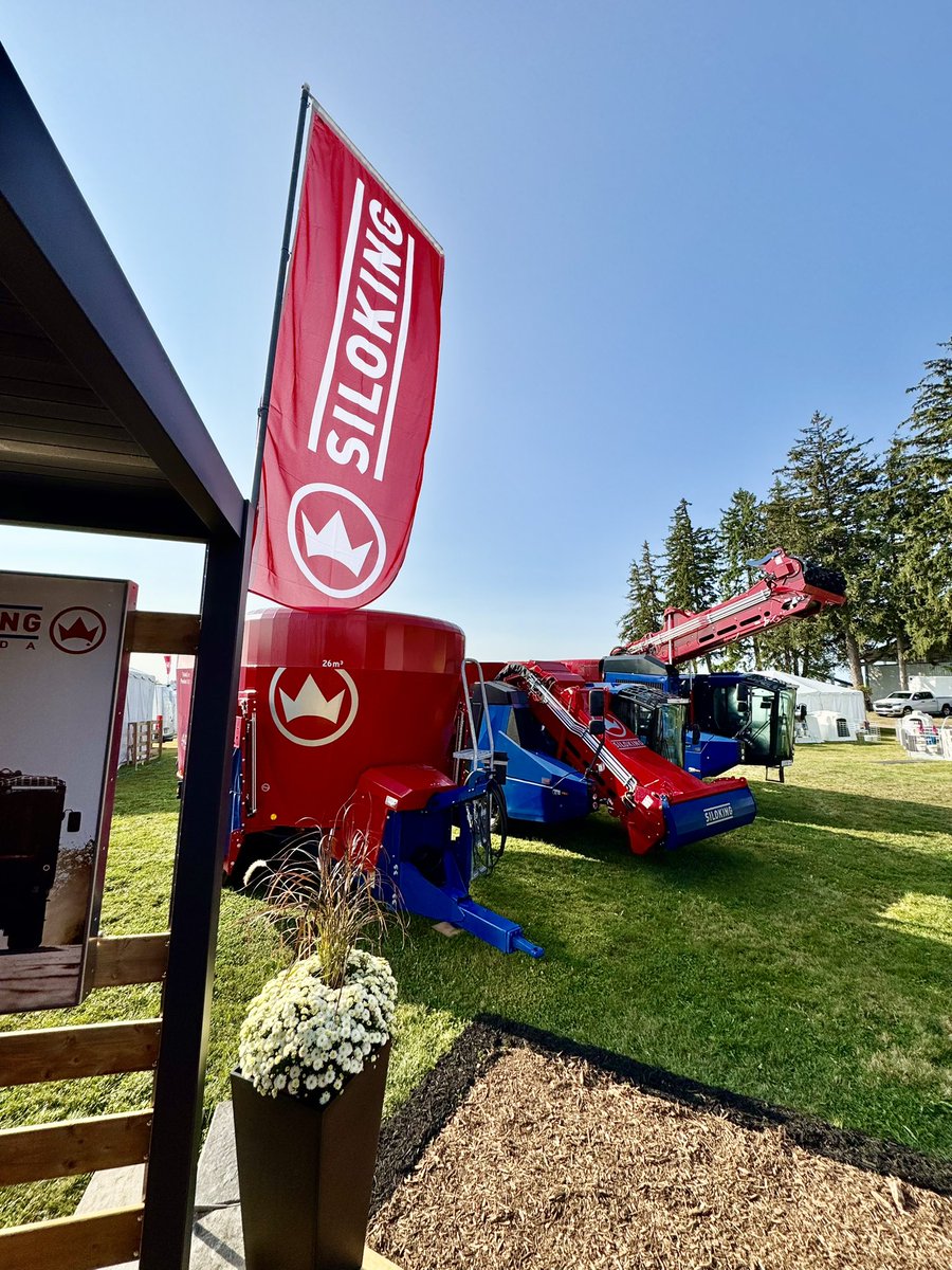 Siloking Canada tweet media