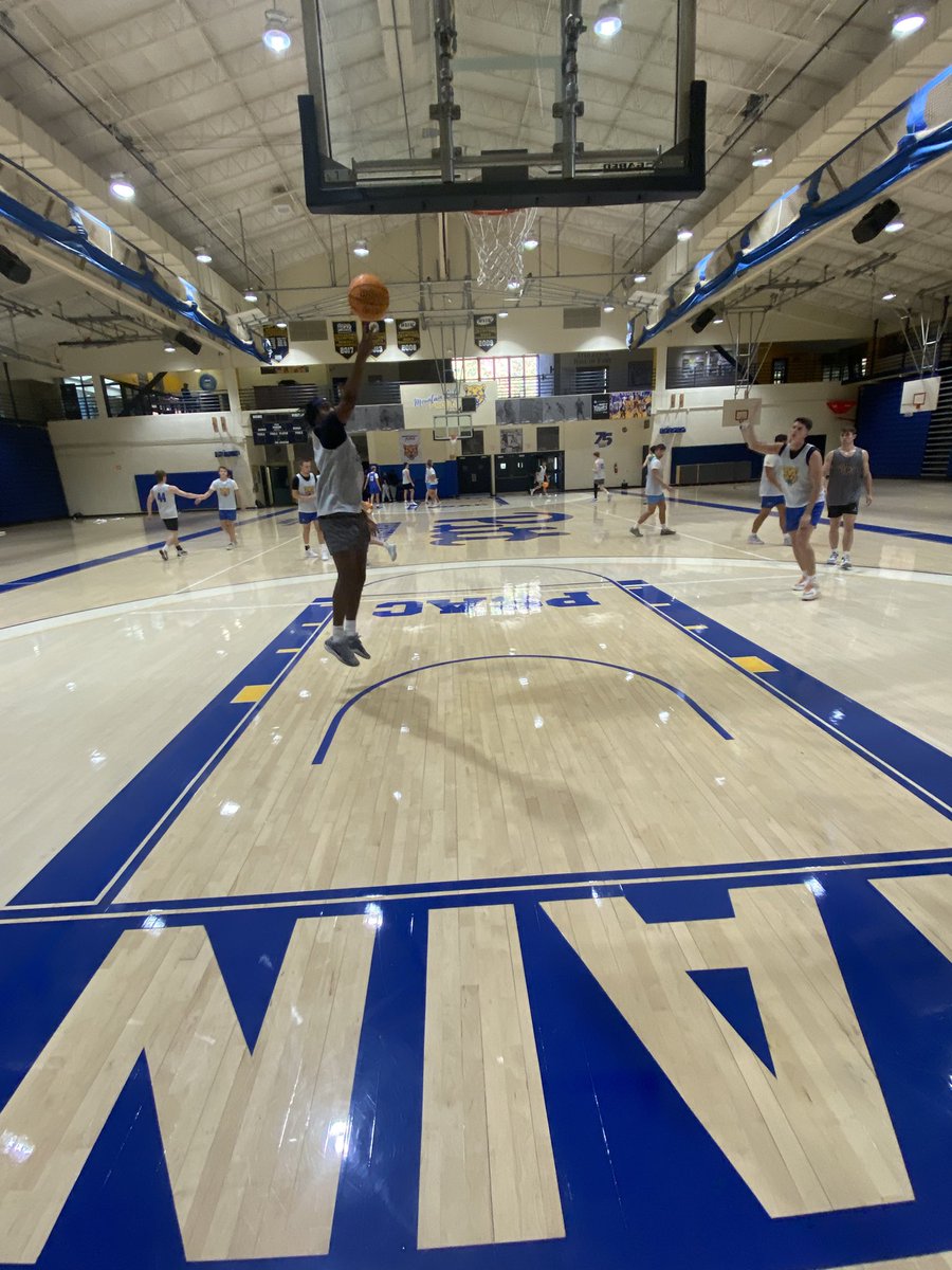 THE CATS ARE BACK IN BUSINESS!!🏀🐱