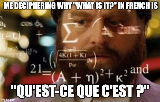 Because language! 

#FrenchMemes #FrenchGrammar #LanguageMemes #Linguistics #LinguisticsMemes