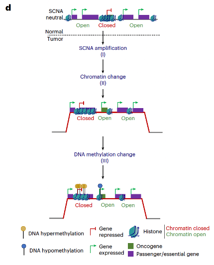 Charles Swanton tweet media