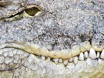 "Wir werden alle sterben, 
jeder von uns, 
was für ein Zirkus! 
Das alleine sollte uns dazu bringen, 
uns zu lieben, 
aber das tut es nicht. 
Wir werden terrorisiert von Kleinigkeiten, 
zerfressen von gar nichts.“

Charles Bukowski