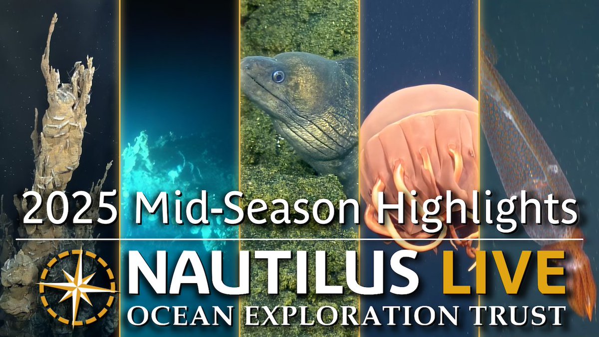 EVNautilus's tweet image. While #EVNautilus prepares for its final expedition of the 2025 season, dive back into some of the year’s most unforgettable moments beneath the waves. Enjoy rare #deepseacreatures and stunning geological formations to the cutting-edge technology driving #oceanexploration.