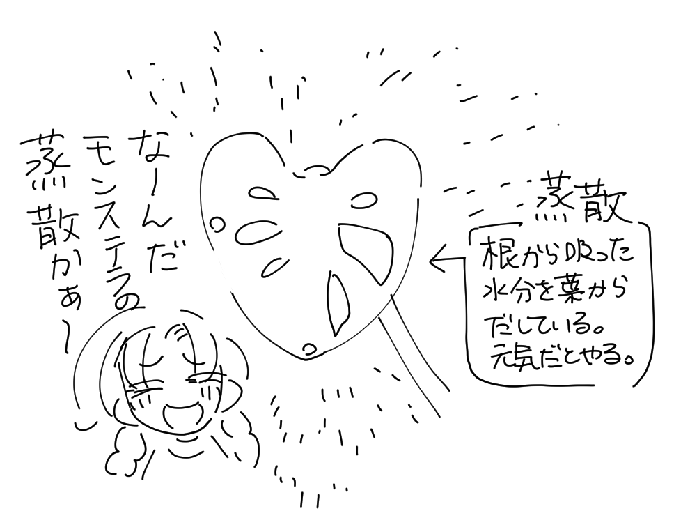 最近あった良い事です