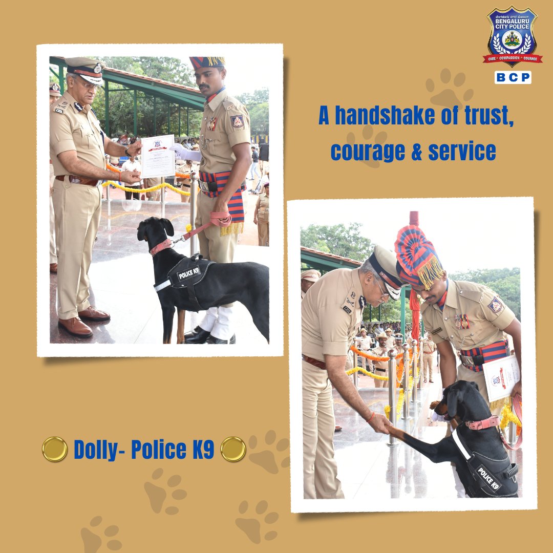 BLRK9Cops's tweet image. ಇಂದು, ಬೆಂಗಳೂರು ನಗರದ ಪೊಲೀಸ್ ಕಮಿಷನರ್ ಶ್ರೀ ಸೀಮಾಂತ್ ಕುಮಾರ್ ಸಿಂಗ್ ಅವರು ಮಾಸಿಕ ಪರೇಡ್‌ನಲ್ಲಿ ಕೆ9 ಡಾಲಿಯನ್ನು (1 ವರ್ಷ 10 ತಿಂಗಳು), 5 ವರ್ಷದ ಬಾಲಕಿಯನ್ನು ಅಪಹರಣ ಮಾಡಿದ್ದ ಪ್ರಕರಣದಲ್ಲಿ, ಆಕೆಯನ್ನು ರಕ್ಷಿಸಿದ ಅವಳ ಅತ್ಯದ್ಭುತ ಪಾತ್ರಕ್ಕಾಗಿ ಸನ್ಮಾನಿಸಿದರು.

ಅವಳ ತರಬೇತುದಾರ ದೇವರಾಜ ಮಹಾರಾಜ ಅವರೊಂದಿಗೆ, ಡಾಲಿಯ ತೀಕ್ಷ್ಣವಾದ…