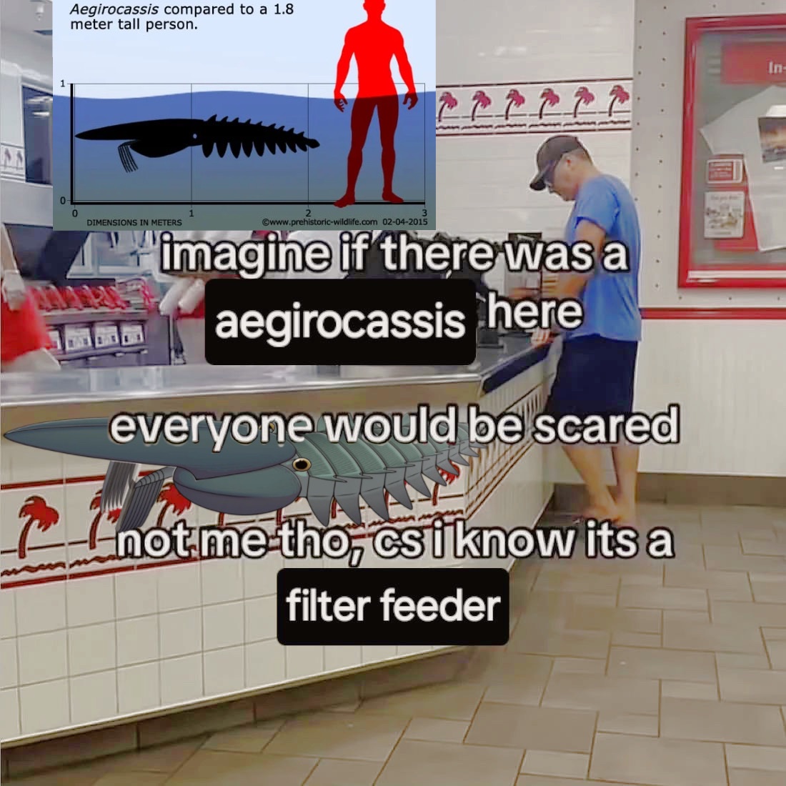 樹里 𓆧 (@0rthoptera) on Twitter photo 