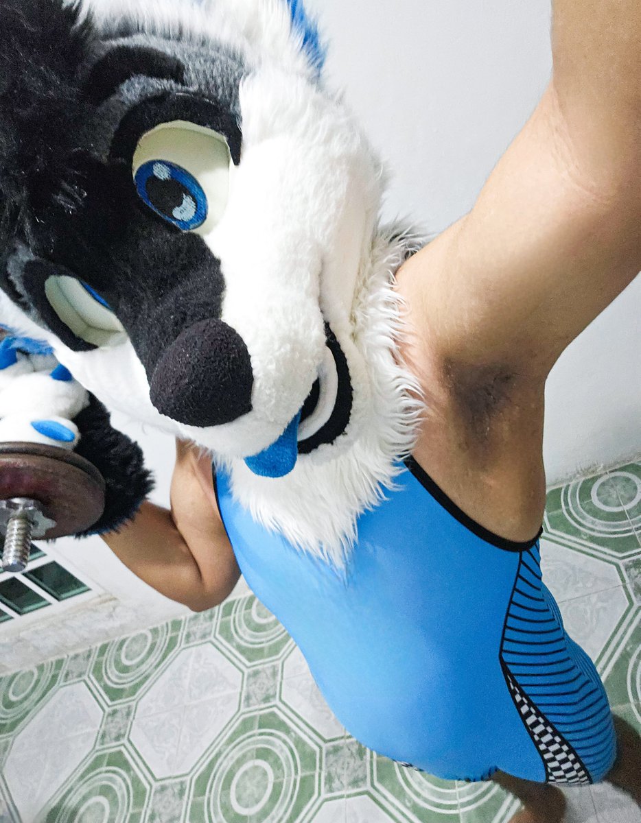 Workout time for this #FursuitFriday!
Also... Who wants uppies? >:3