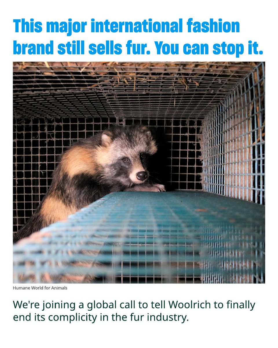 We believe that everyone can make decisions each day that help to create a more humane world. And so, it is in this spirit that we are joining a global call to the international outerwear fashion brand Woolrich to finally end its complicity in the fur industry.