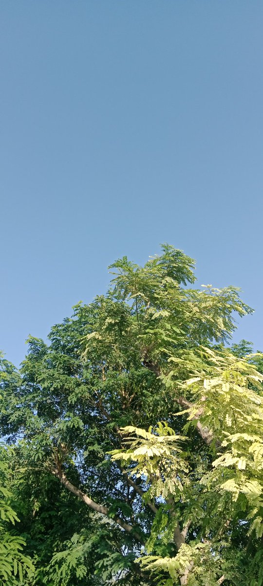 JennaAlgeo's tweet photo. Hi https://t.co/3e7W5DM9WX