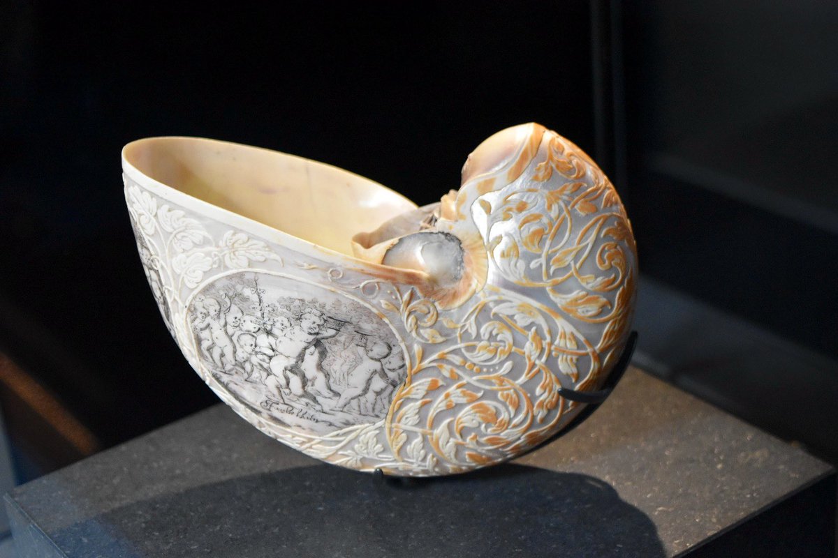 イギリス10日間堪能しました、日本へ帰ります

写真は、自然史博物館で見た装飾が施されたオウムガイの殻

博物館の基盤となったコレクションを収集したハンス・スローン卿のお気に入りのひとつだったのだとか